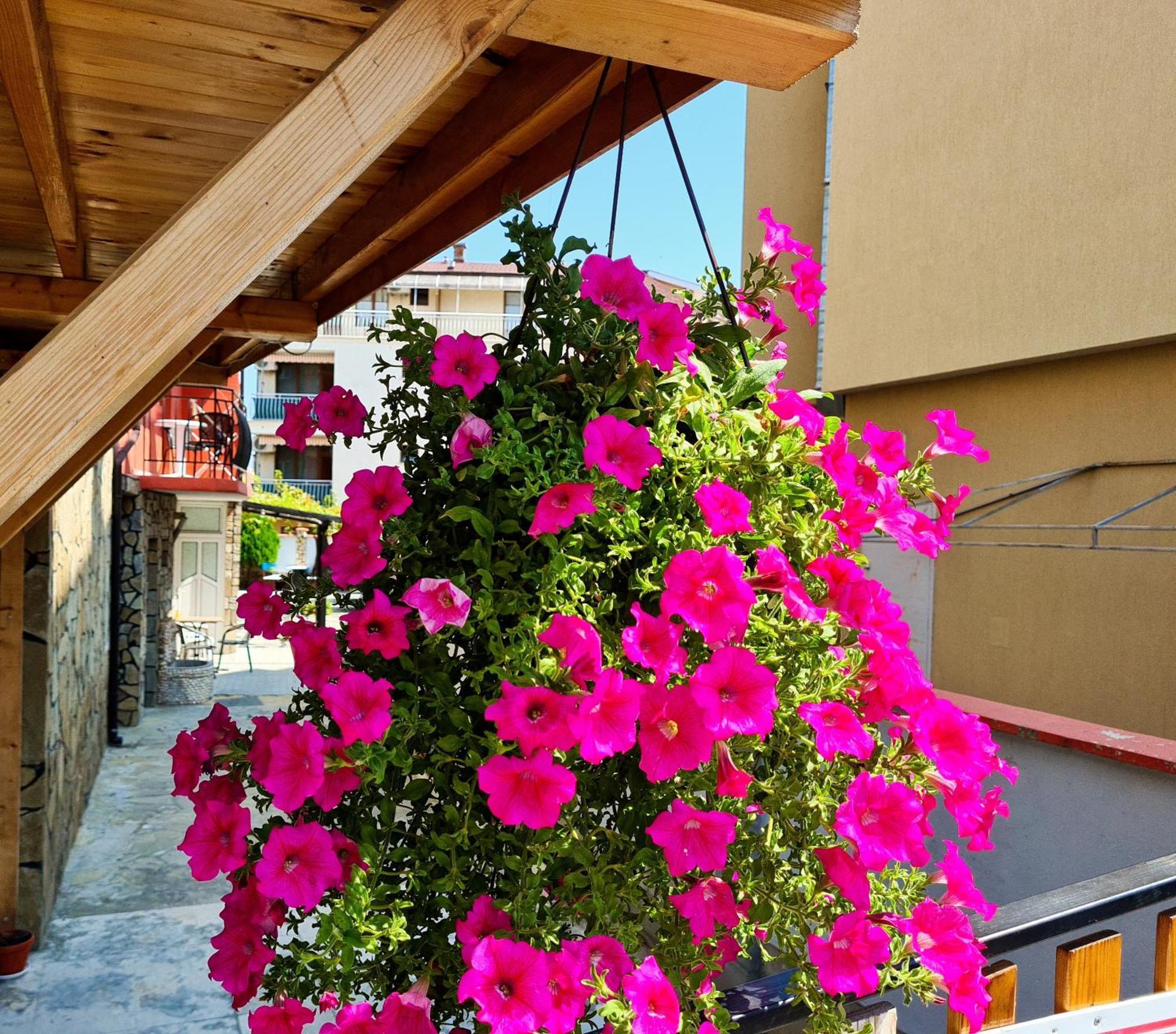 Sineva Guest House Ravda Exterior foto